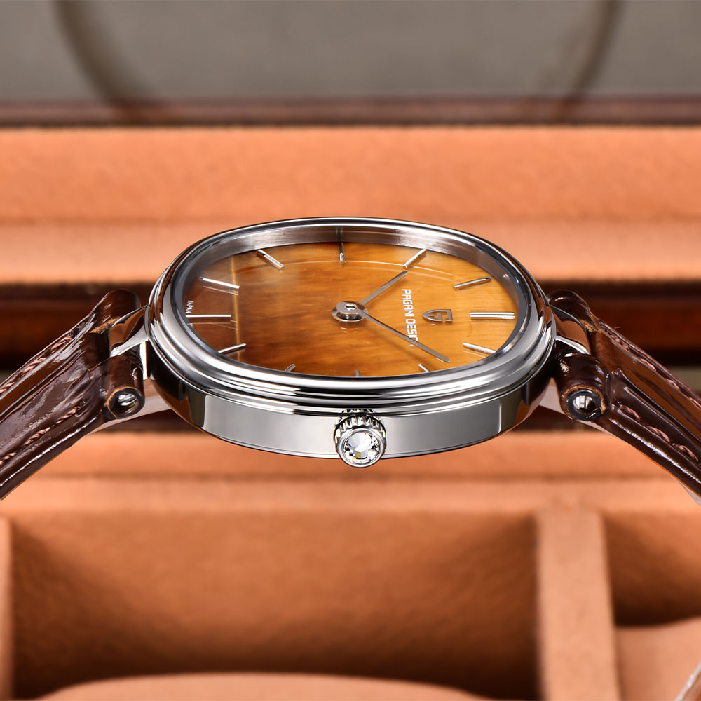 Reloj de Cuarzo PAGANI DESIGN  - Anti-Magnetic Watch reseña y precio